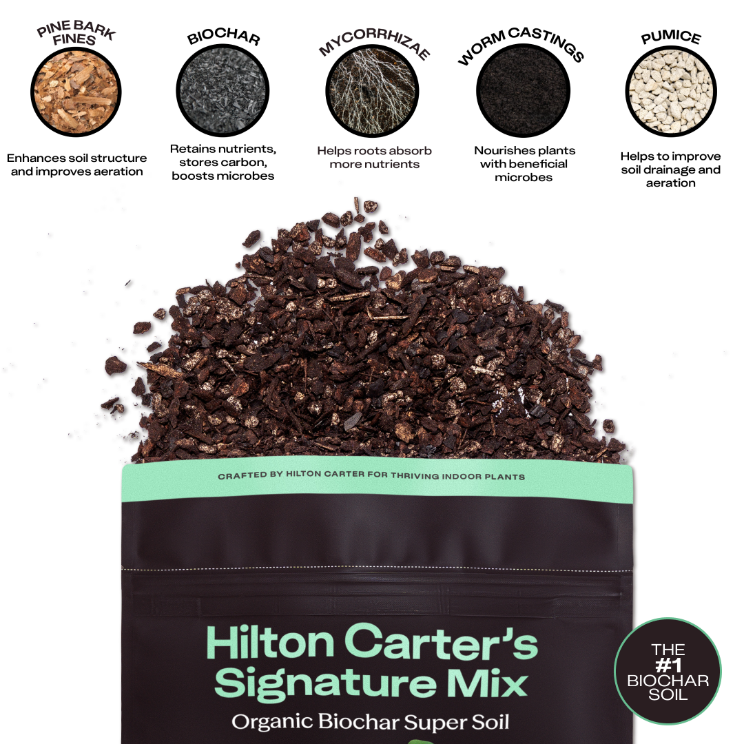 Hilton Carter's Signature Mix