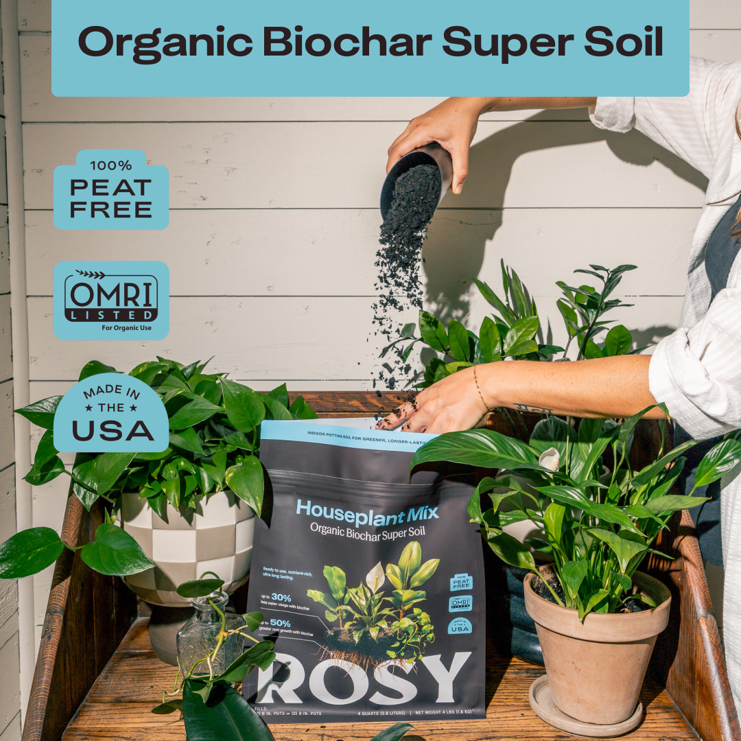 Rosy Soil Houseplant Soil - Thumbnail 3
