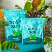 Houseplant Soil