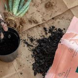 Cactus & Succulent Soil