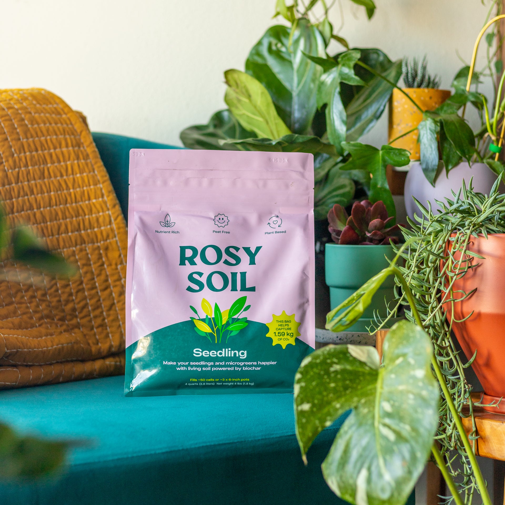 Seedling Soil Review: Best Mix for Healthy, Fast-Growing Seedlings