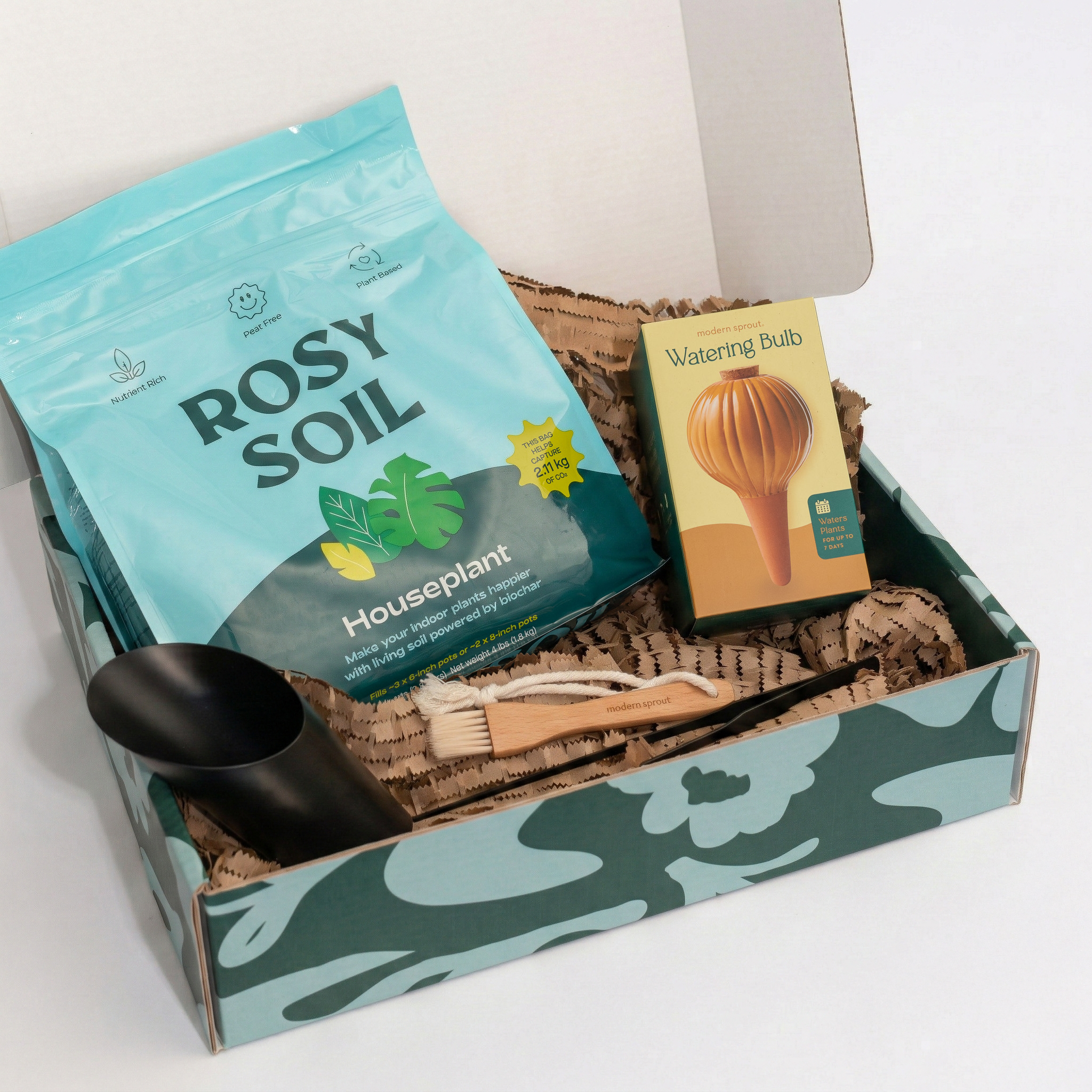 houseplant essential box