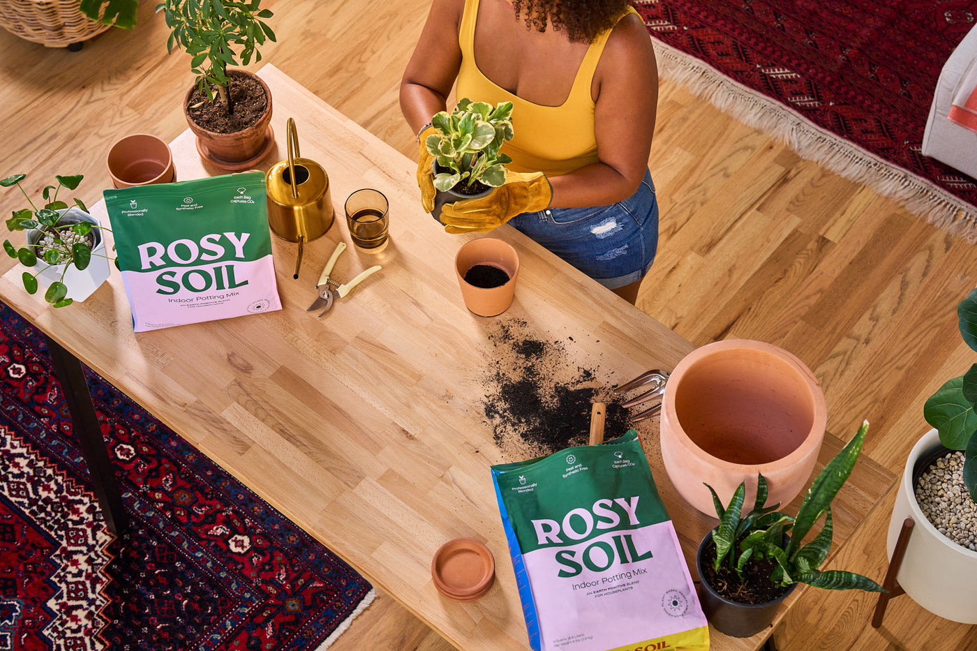 woman-using-rosy-soil-indoors 