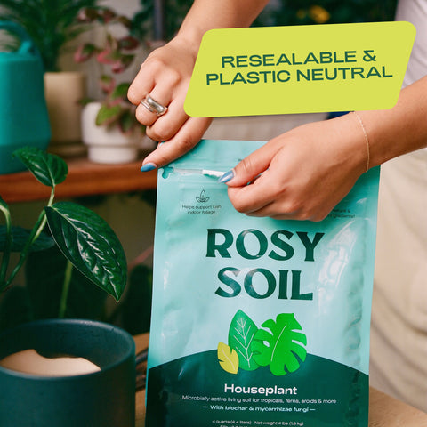 Houseplant Soil