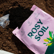 Seedling Soil