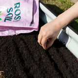 Garden Starter Bundle