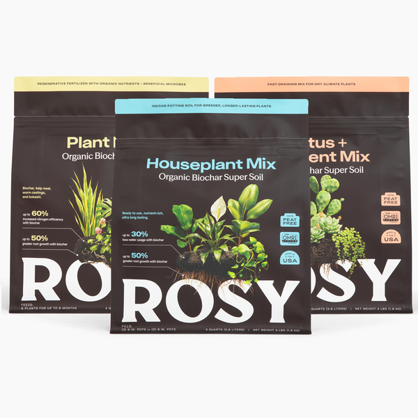 Plant Parent Bundle