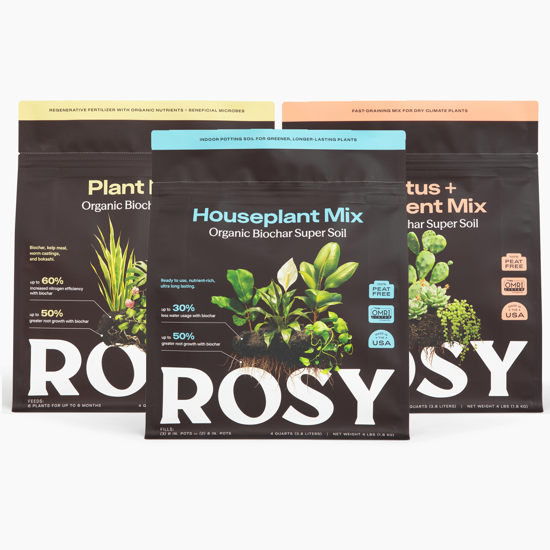 Plant Parent Bundle