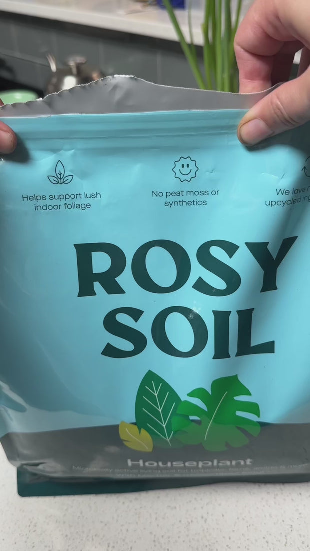 Houseplant Soil