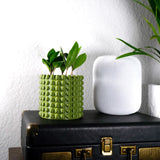 Ring of Pearls Planter