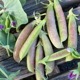 Spring Blush Snap Peas
