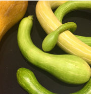 Tromboncino Squash