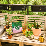 houseplants-around-rosy-soil-bag 